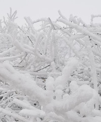 渝北高海拔山区迎来今冬首场降雪