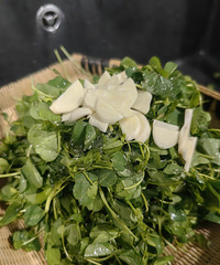 �����͵����ʲˣ����˳Թ���