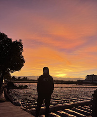 93178CMʨС飬ĳĳŹ