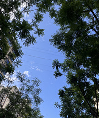 人生建议,家里真的该有个小花园,简直舒畅身心