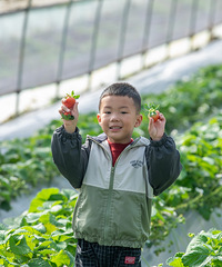 ôˣˣѩ⡢ժݮӻ