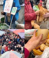买菜超便宜农贸市场,基本挪不动脚