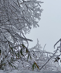 Ҳû˵ܱˣѩô䰡Ƕɶ