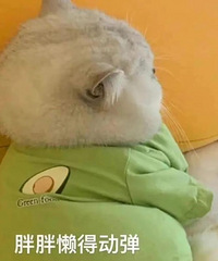 ������ֵ���򡿴����������������2��9�������Ŷ����2ƿ29