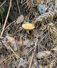 ǲĢҰеĿ֣ţξûг