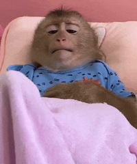 ������ֵ����ŷ�Ϸ�������ѡ3��99��־��С̫��28