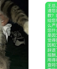 因为救了一只猫,我被老板解雇了