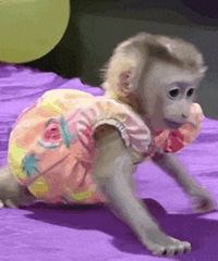 ������ֵ����Ůͯ���޴�׿�19���˼��մ�ˮ12ƿ25