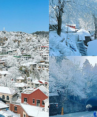 ���Ǳ���ȥ���𣬶���®ɽ�����Լ۱�