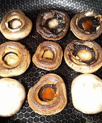 ������������Ģ����������꣬С�׶�����