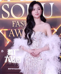 搜狐时尚盛典红毯,造型如何