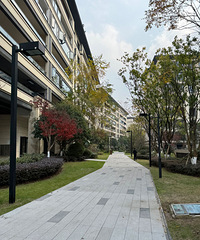 ɽǣ潭ӣ¼ҵĹװ֮á