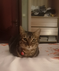 91176CMĸ飬ϣԷ90~97