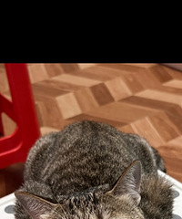 91176CMĸ飬ϣԷ90~97