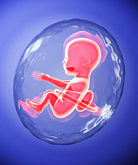 ������ؿ�������̥����ͬʱ�ڵ��������о�