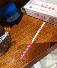 2023�ܽ᣺���������Թ�ʧ�ܺ���Ȼ���У���ӵ�����ҵ�С�Ի�