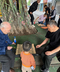 ���޳��ſ�������Щ���⣿����˲������Լ�ǳ����