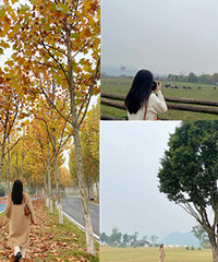 ���յĹ��������������ƺ����ͩ���ó�Ƭ