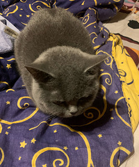 �µ���ʹ�Ҽ�ǿ