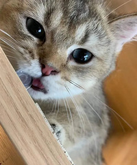 ������������˼�ļ�ְ��ʲô��