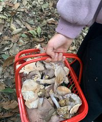 ����һ������ı���·��