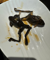 ���˳Թ�������ר�ŵ���2ֻ���������ԣ���ֻ100��