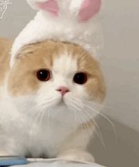 ������ֵ���򡿵ϻݶ���ԭ˯����Ĥ10��9��ƽ��õ�廨19