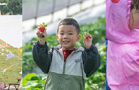 ̵Եĳεأժݮ¶Ӫжͯ԰