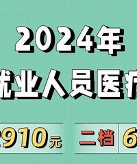 2024年医疗保险缴费标准来了