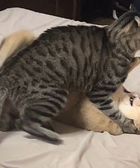 ��ȫû��ս�����Ľ𽥲㣬���껨�Ⱦ�������