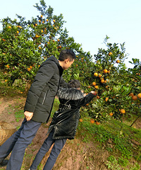 ܲժѪȡԲ𷹵Ŀ֣԰