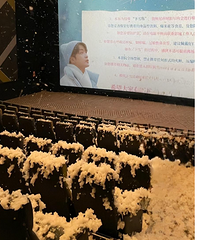 《亮星星》口碑大崩盘,下雪场一片狼藉