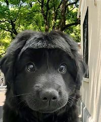 ׶󳬹24СʱûظҾþͿˣǾú