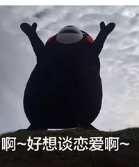 ����������飬��Ը2024�����һ����Ե��