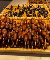 ���浫���ҳԣ���ɳƺ�ӺóԽֿ����ķ�ζС��