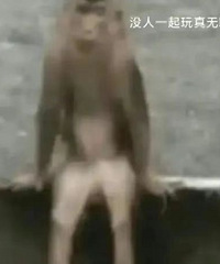 ������ֵ����������ʻ���20ö29���������ձ�12.9