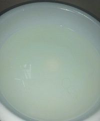 真的太脏啦,这是我用盐洗头后的水!这样洗头控油效果好明显