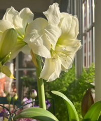 ���ʣ��춥�������ʱ��ο�����