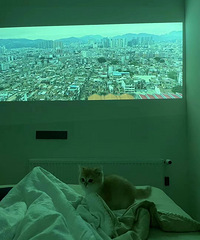 װůƬѰţֻҪǱһ͹