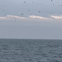 ̫���ȣ���޵���Ȼ���Կ������㣬���湥������գ�