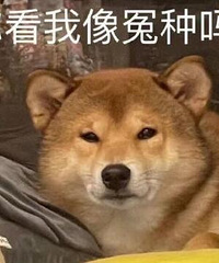 说说你们装修完最后悔的事情,给大家避雷