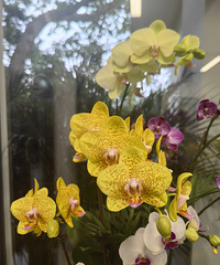 ˣѣŬѹȦ,ջǶ븣չ