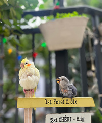 ���ͻ��Ǻ���Ҫ��ĵ����������ֻͺͷС����������