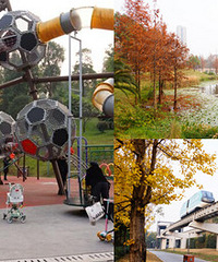 ���Ǳߵĵ͵���԰��ɫ���������ж�ͯ��԰