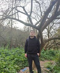 86겻Ʋ̲ȾƵĸ飬ϣԷ30