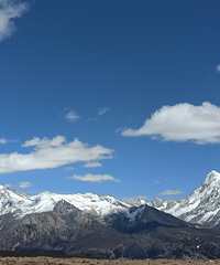 90갮õ㡢Լݺ¶Ӫĸ飬ϣԷ87~95