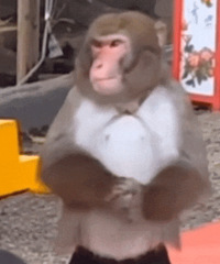 ������ֵ���� �Ͻ�ĥ����֥����4��35�����Ҵ�ź��2��43