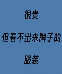 一人说一个,很贵但看不出牌子的服装品牌有哪些