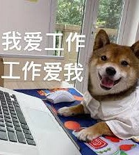 ���˼�������ҵ���һ�����ɼ�ְ