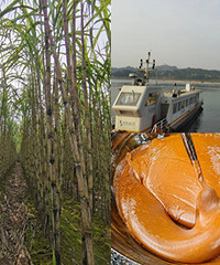 �ܱߵı���С������Ƭ���ܿ������ǣ�ֵ��